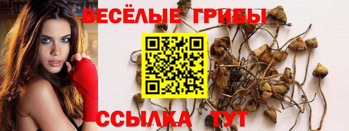 Лесосибирск  как найти закладки  Вход с VPN  Галлюциногенные грибы ЛСД 